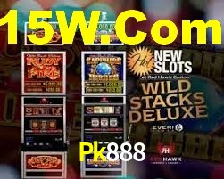 Experimente o Login Seguro Premium no Pk888