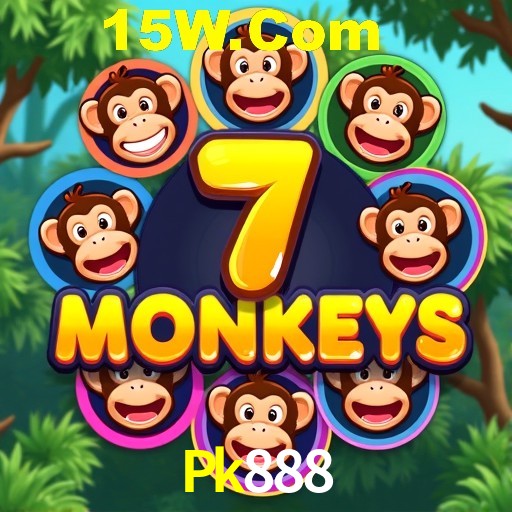 Security Systems Pk888